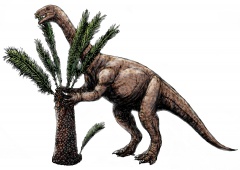 † Unaysaurus tolentinoi(vor etwa 235 bis 201,3 Millionen Jahren)